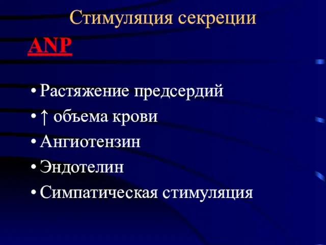 Стимуляция секреции ANP Растяжение предсердий ↑ объема крови Ангиотензин Эндотелин Симпатическая стимуляция