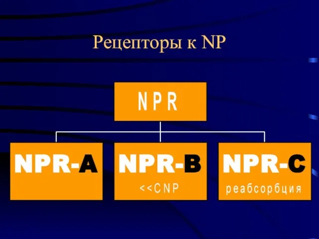 Рецепторы к NP