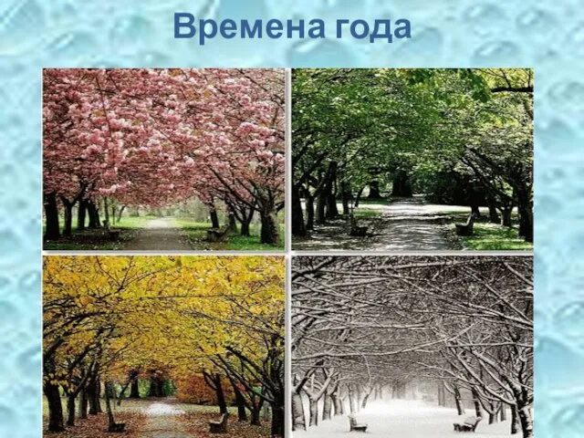 Времена года