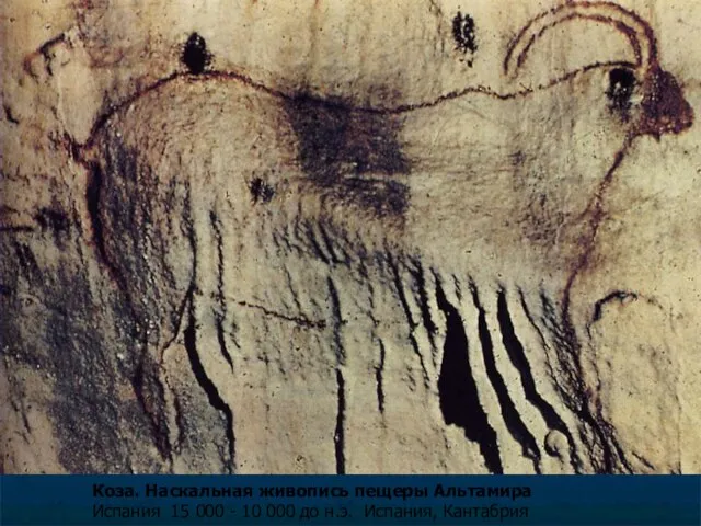 Коза. Наскальная живопись пещеры Альтамира Испания 15 000 - 10 000 до н.э. Испания, Кантабрия