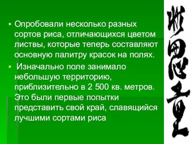 Опробовали несколько разных сортов риса, отличающихся цветом листвы, которые теперь составляют основную