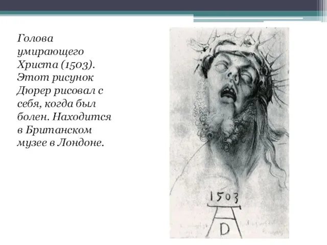 Голова умирающего Христа (1503). Этот рисунок Дюрер рисовал с себя, когда был