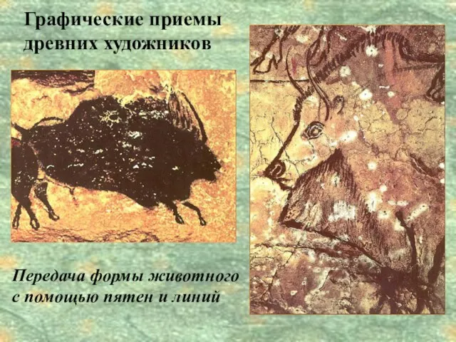 Графические приемы древних художников Передача формы животного с помощью пятен и линий