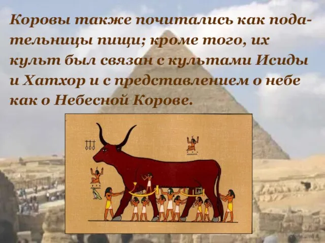 Коровы также почитались как пода- тельницы пищи; кроме того, их культ был