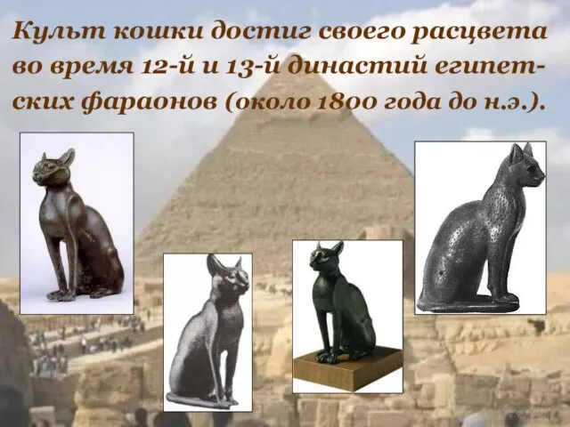 Культ кошки достиг своего расцвета во время 12-й и 13-й династий египет-