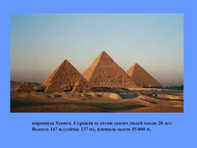 пирамида Хеопса. Строили ее сотни тысяч людей около 20 лет. Высота 147