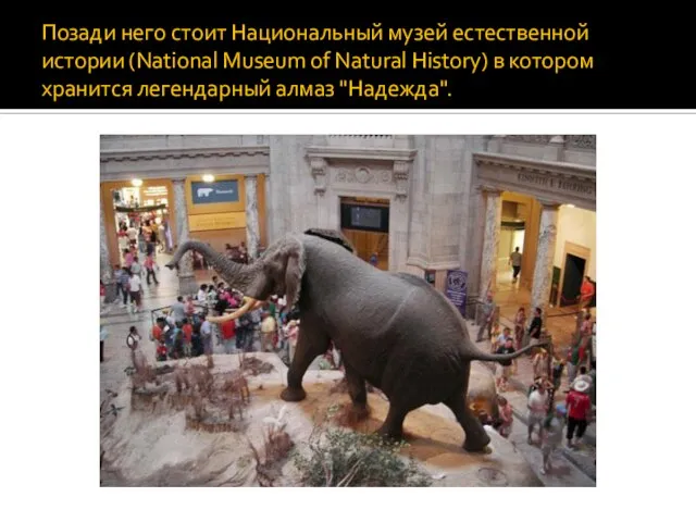 Позади него стоит Национальный музей естественной истории (National Museum of Natural History)