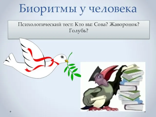 Биоритмы у человека Психологический тест: Кто вы: Сова? Жаворонок? Голубь?