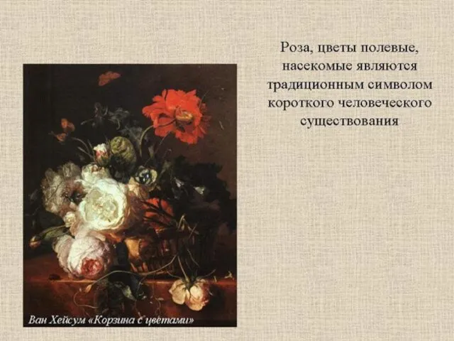 Роза, цветы полевые, насекомые - традиционный символ краткого человеческого существования.