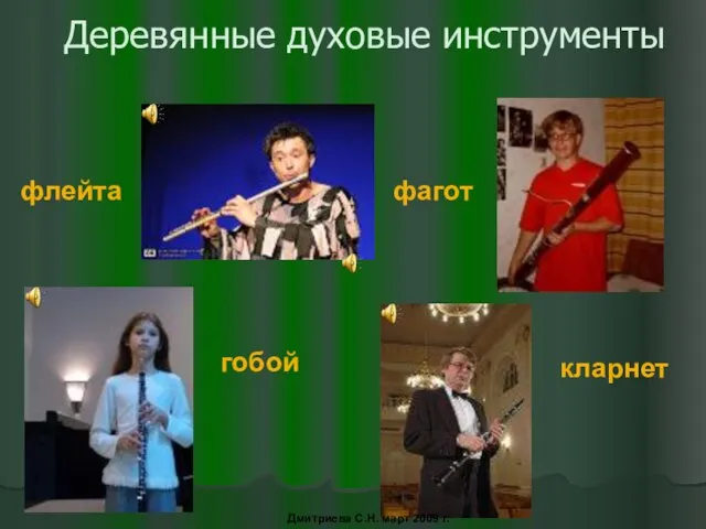 Деревянные духовые инструменты флейта гобой фагот кларнет Дмитриева С.Н. март 2009 г.