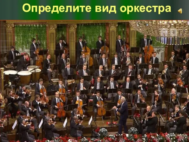 Определите вид оркестра Дмитриева С.Н. март 2009 г.