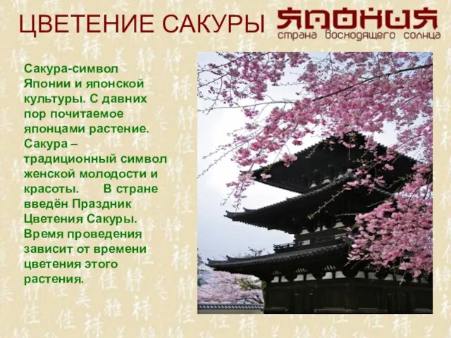 ЦВЕТЕНИЕ САКУРЫ Сакура-символ Японии и японской культуры. С давних пор почитаемое японцами