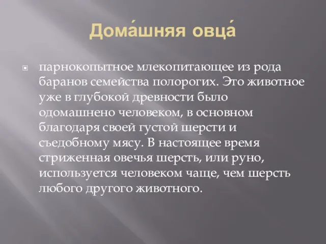 Дома́шняя овца́ парнокопытное млекопитающее из рода баранов семейства полорогих. Это животное уже