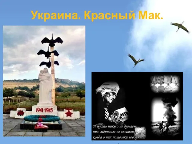 Украина. Красный Мак.