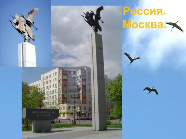 Россия. Москва.