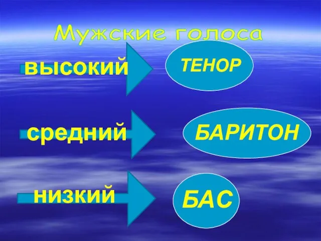 Мужские голоса ТЕНОР БАРИТОН БАС высокий средний низкий