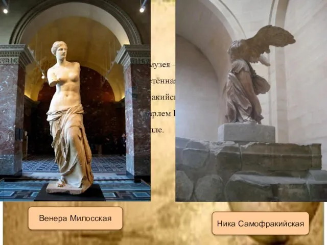 Самые известные скульптуры музея — Венера Милосская, найденная в 1820 году и