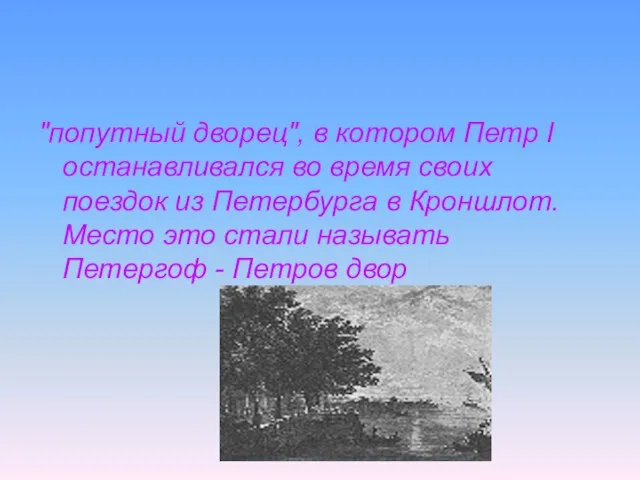 "попутный дворец", в котором Петр I останавливался во время своих поездок из