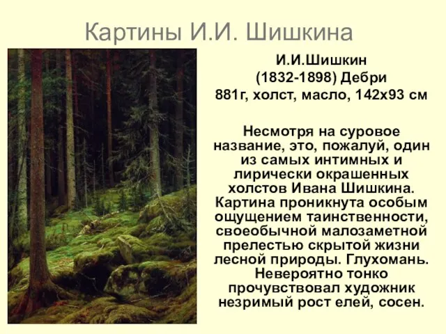 Картины И.И. Шишкина И.И.Шишкин (1832-1898) Дебри 881г, холст, масло, 142x93 см Несмотря