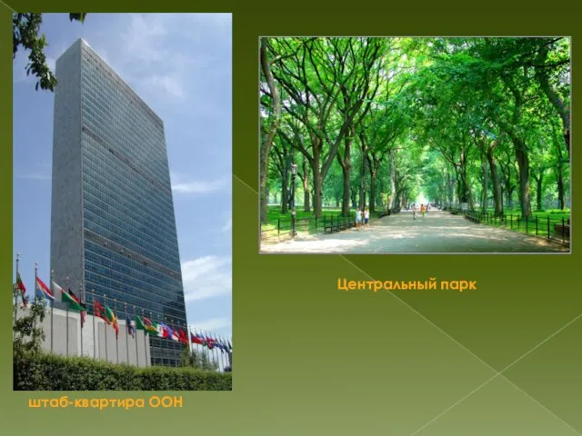 штаб-квартира ООН Центральный парк