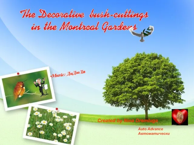 Презентация на тему Декоративная стрижка кустов в садах Монреаля