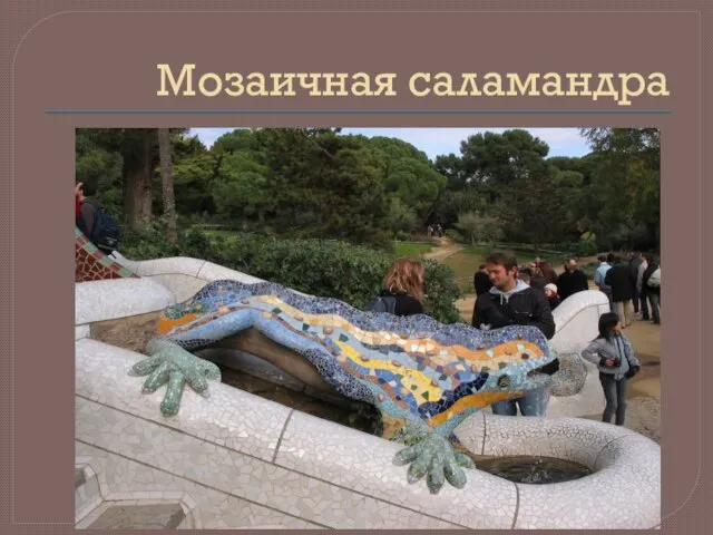 Мозаичная саламандра
