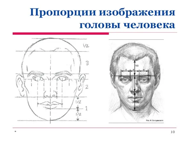 Пропорции изображения головы человека *