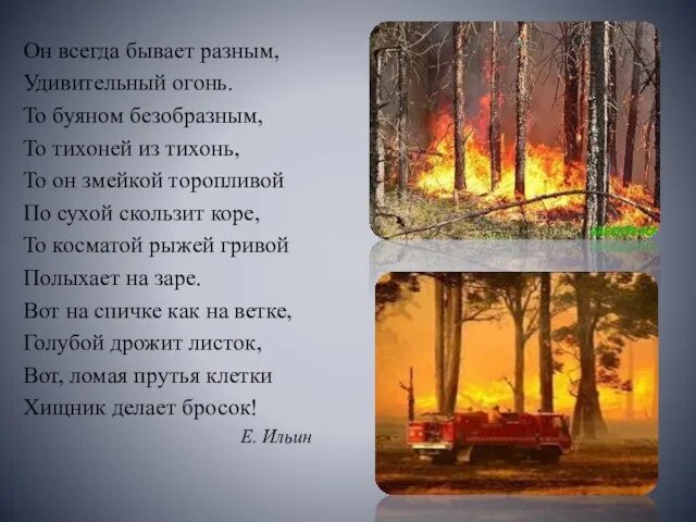 Он всегда бывает разным, Удивительный огонь. То буяном безобразным, То тихоней из