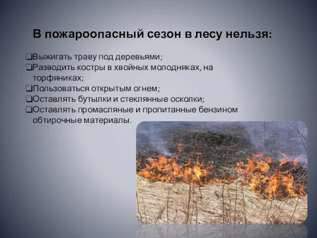В пожароопасный сезон в лесу нельзя: Выжигать траву под деревьями; Разводить костры