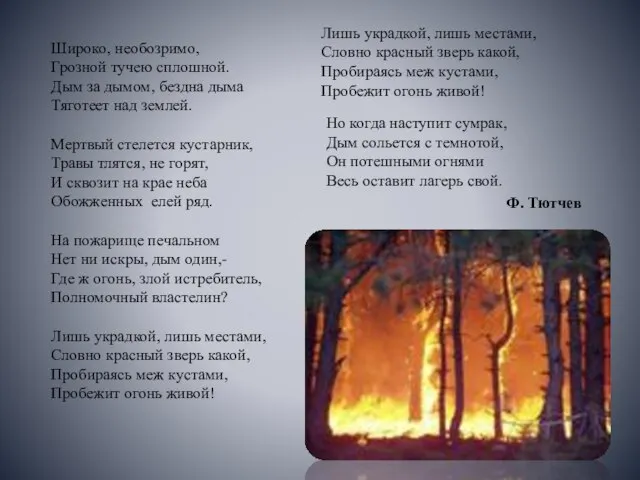 Широко, необозримо, Грозной тучею сплошной. Дым за дымом, бездна дыма Тяготеет над