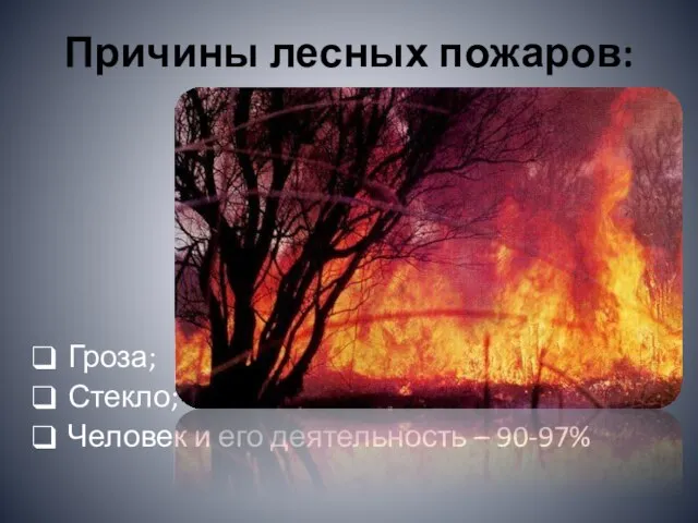 Причины лесных пожаров: Гроза; Стекло; Человек и его деятельность – 90-97%