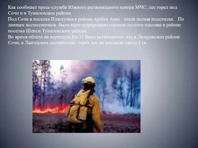 Как сообщает пресс-служба Южного регионального центра МЧС, лес горел под Сочи и