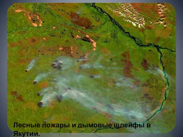 Лесные пожары и дымовые шлейфы в Якутии.