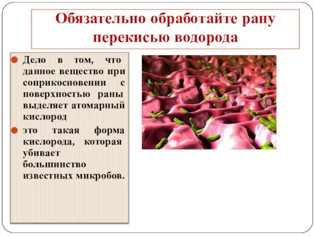 Обязательно обработайте рану перекисью водорода Дело в том, что данное вещество при