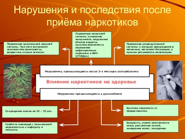 Нарушения и последствия после приёма наркотиков Влияние наркотиков на здоровье Нарушения, проявляющиеся