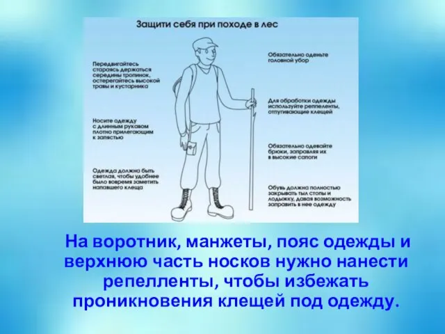 На воротник, манжеты, пояс одежды и верхнюю часть носков нужно нанести репелленты,