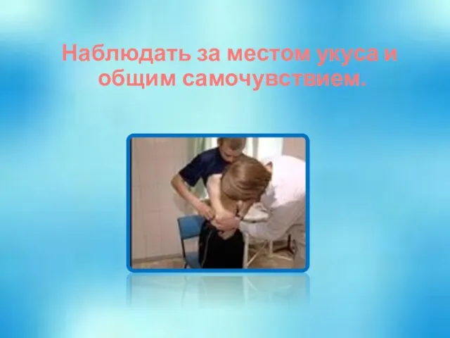 Наблюдать за местом укуса и общим самочувствием.