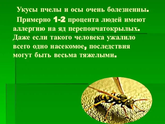 Укусы пчелы и осы очень болезненны. Примерно 1-2 процента людей имеют аллергию