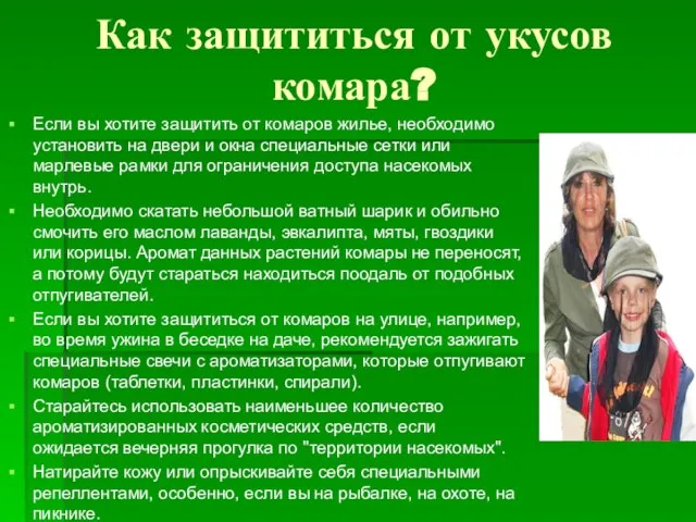 Как защититься от укусов комара? Если вы хотите защитить от комаров жилье,