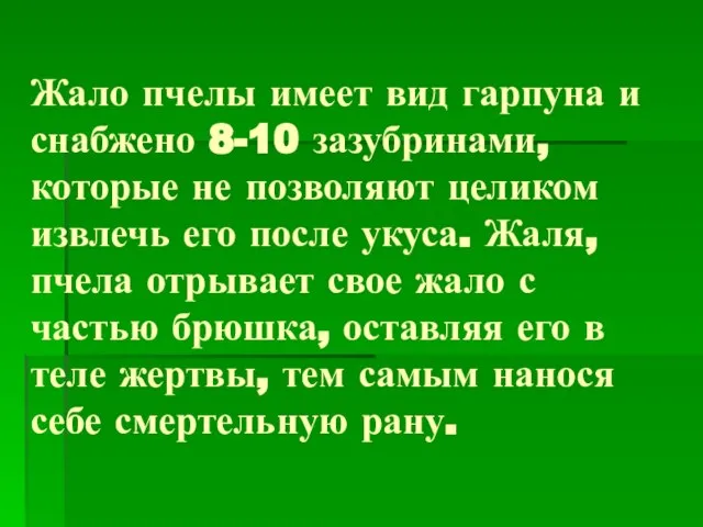 Жало пчелы имеет вид гарпуна и снабжено 8-10 зазубринами, которые не позволяют