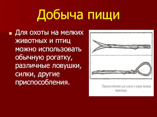 Добыча пищи Для охоты на мелких животных и птиц можно использовать обычную