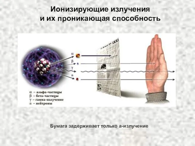 Ионизирующие излучения и их проникающая способность Бумага задерживает только a-излучение