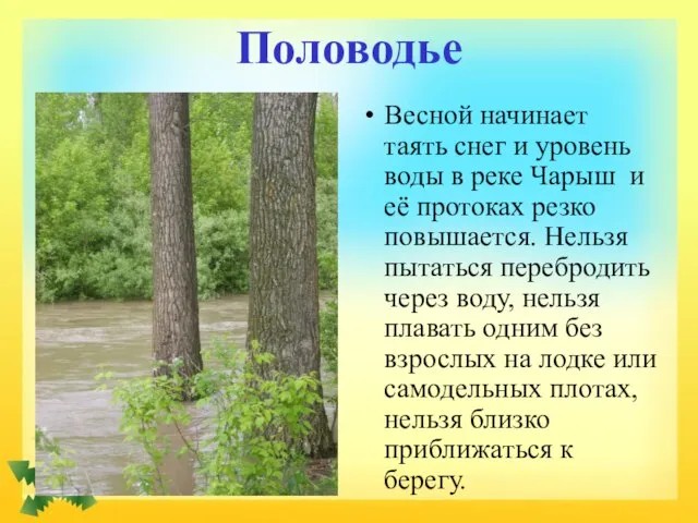 Половодье Весной начинает таять снег и уровень воды в реке Чарыш и