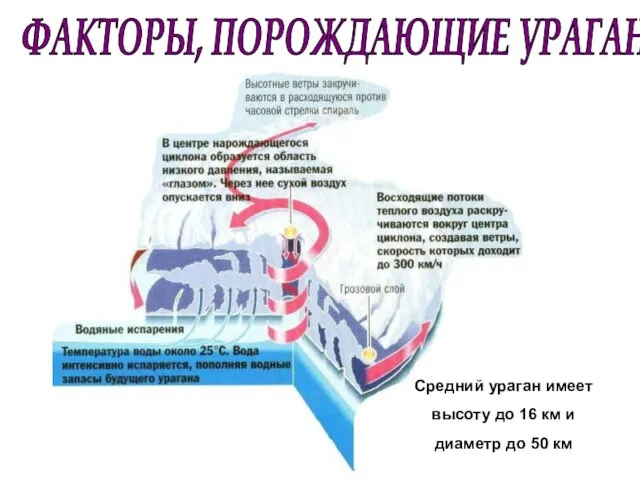 Средний ураган имеет высоту до 16 км и диаметр до 50 км ФАКТОРЫ, ПОРОЖДАЮЩИЕ УРАГАН