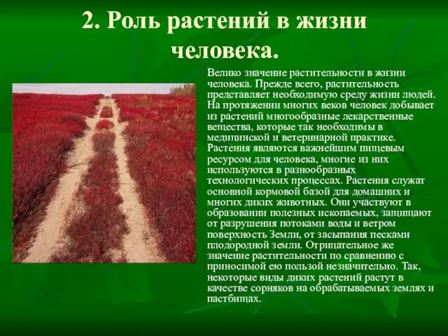 2. Роль растений в жизни человека. Велико значение растительности в жизни человека.