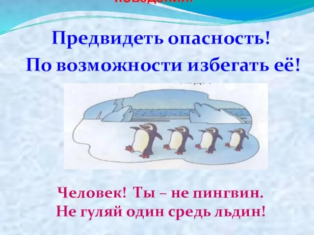 Следуйте принципам безопасного поведения: Предвидеть опасность! По возможности избегать её! Человек! Ты