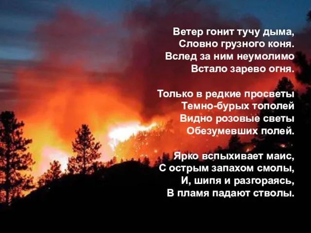 Ветер гонит тучу дыма, Словно грузного коня. Вслед за ним неумолимо Встало