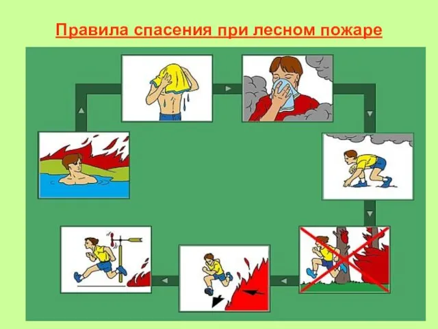 Правила спасения при лесном пожаре