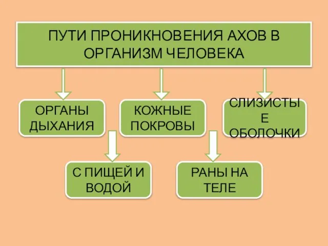 ПУТИ ПРОНИКНОВЕНИЯ АХОВ В ОРГАНИЗМ ЧЕЛОВЕКА ОРГАНЫ ДЫХАНИЯ СЛИЗИСТЫЕ ОБОЛОЧКИ КОЖНЫЕ ПОКРОВЫ