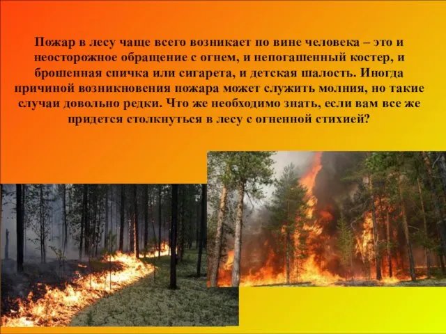 Пожар в лесу чаще всего возникает по вине человека – это и
